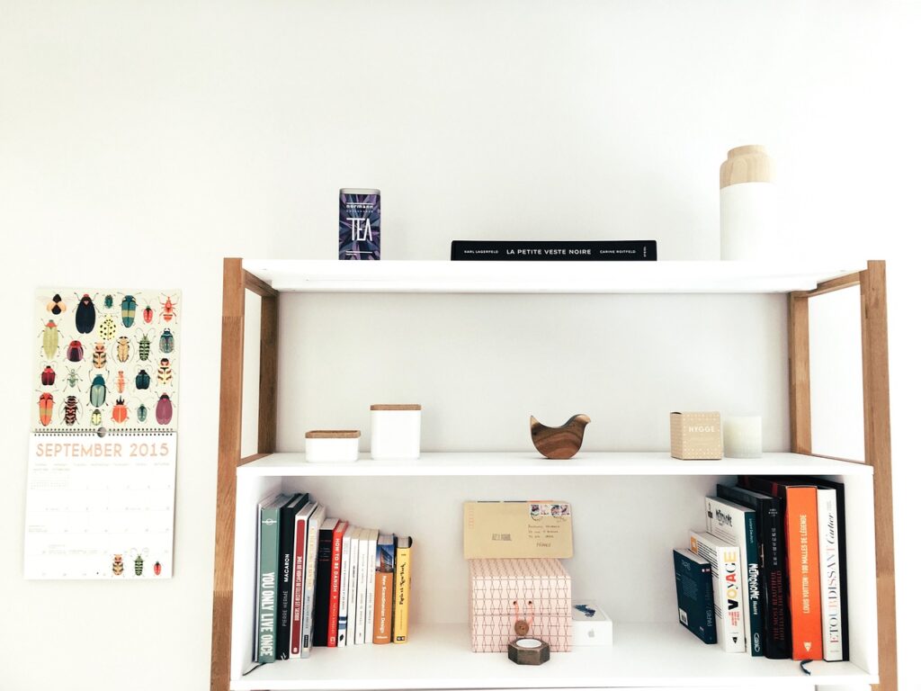 Bookshelves in Apartment