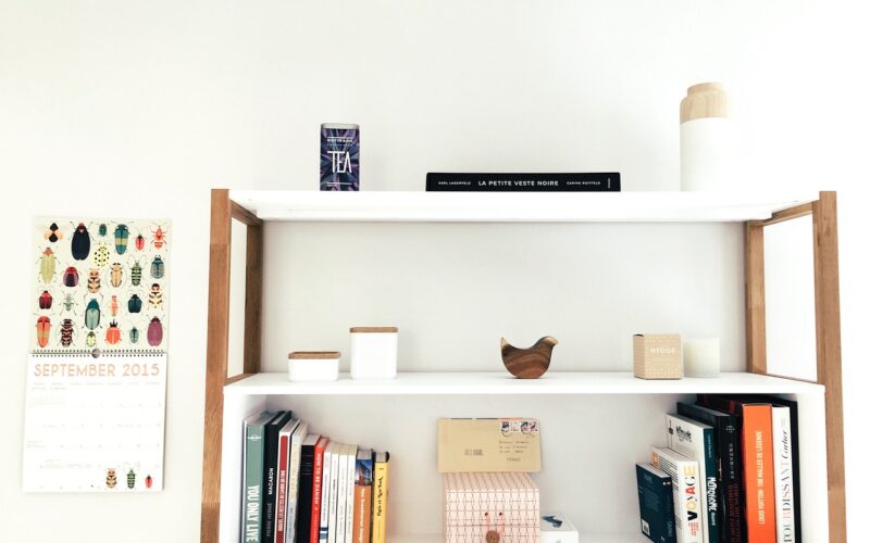 Bookshelves in Apartment